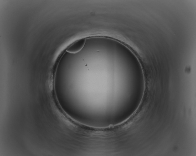 X0000096711510200802121213