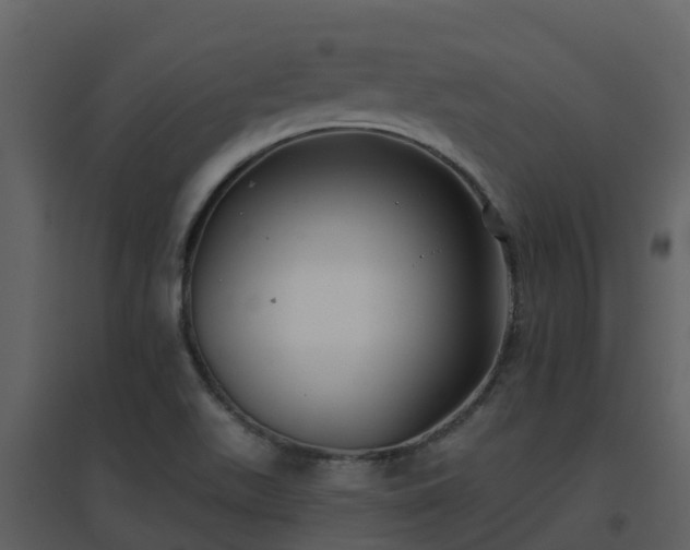 X0000096711511200802121213