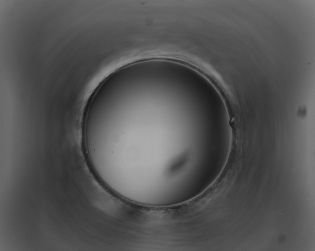 X0000096711512200802121213