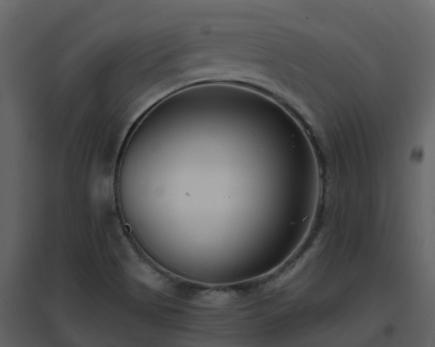 X0000096711513200802121213