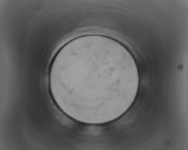 X0000096711514200802121213