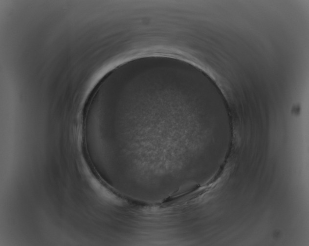 X0000096711515200802121213