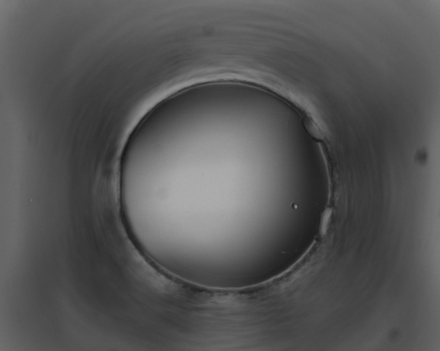 X0000096711516200802121214