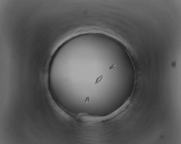 X0000096711518200802121214