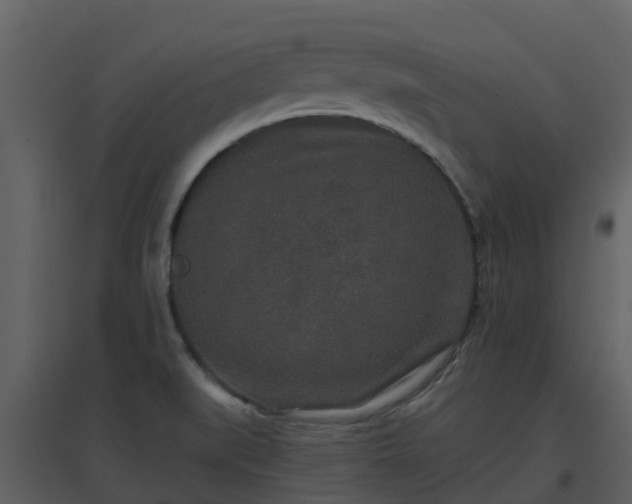 X0000096711519200802121214