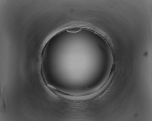 X0000096711520200802121214