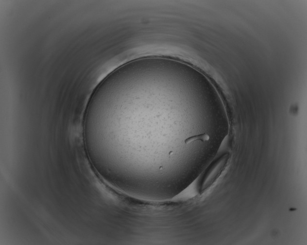 X0000096711521200802121214