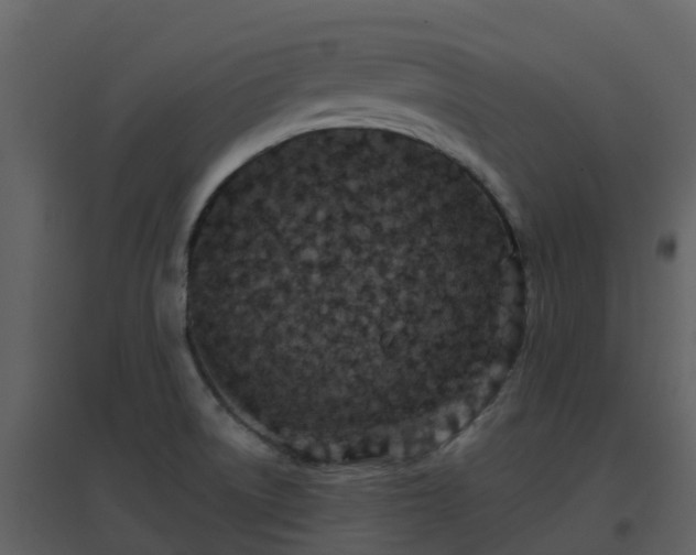 X0000096711522200802121214