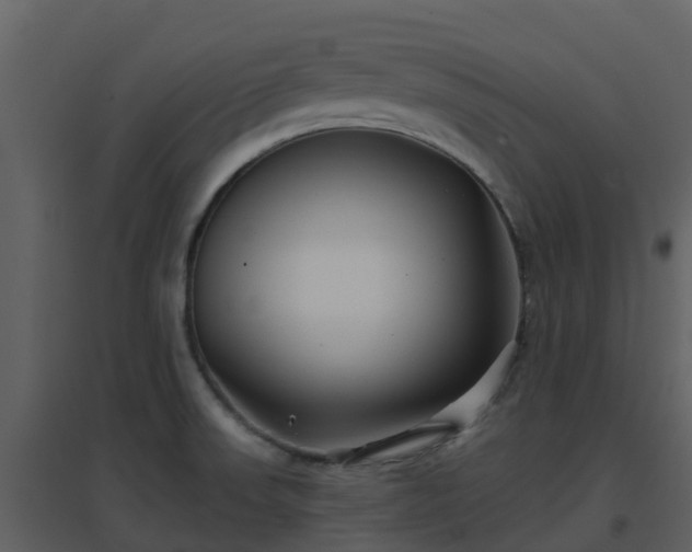 X0000096711523200802121214