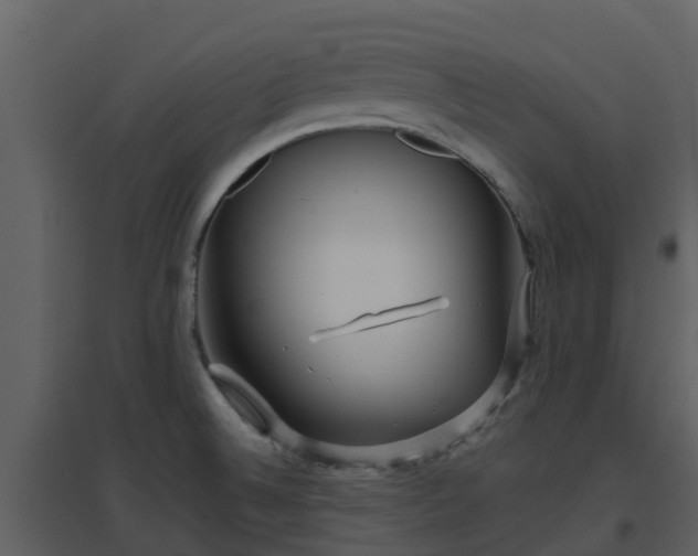 X0000096711524200802121214