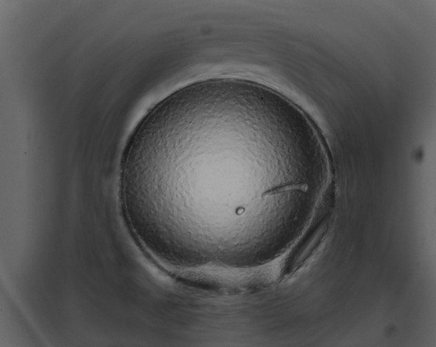 X0000096711525200802121214