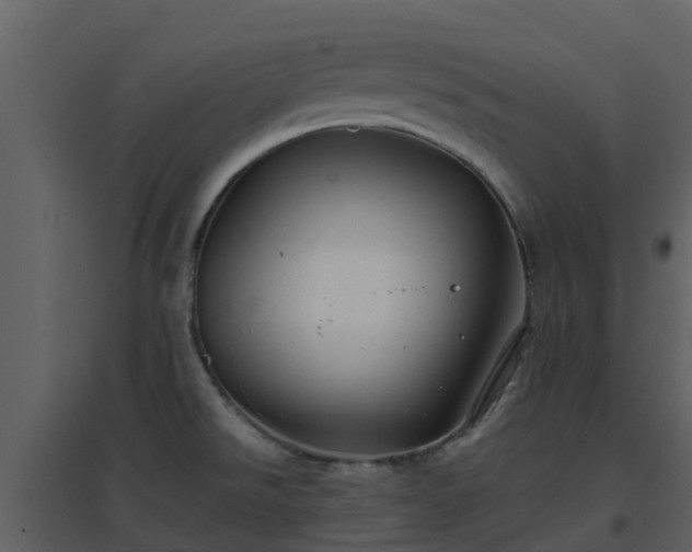 X0000096711526200802121214