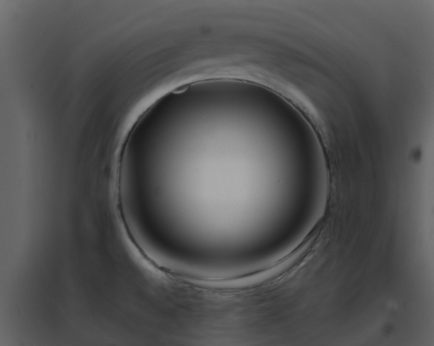 X0000096711528200802121214