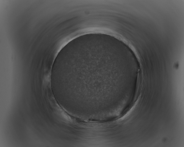 X0000096711529200802121214