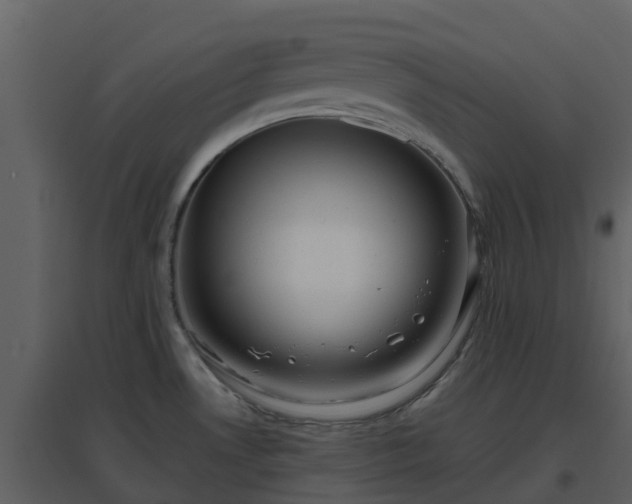 X0000096711530200802121214