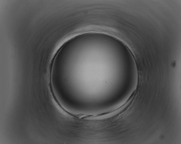 X0000096711531200802121214