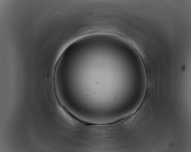 X0000096711532200802121214