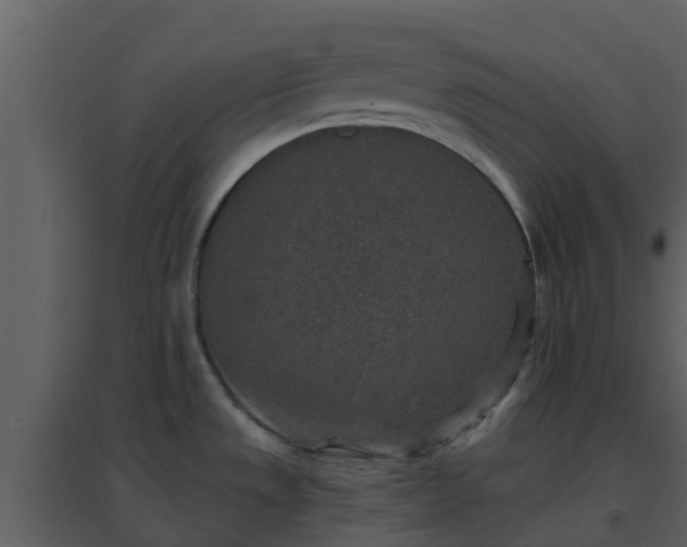 X0000096711533200802121214