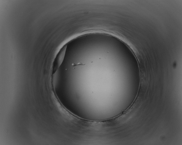 X0000096711534200802121214