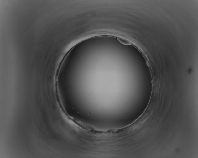 X0000096711535200802121214