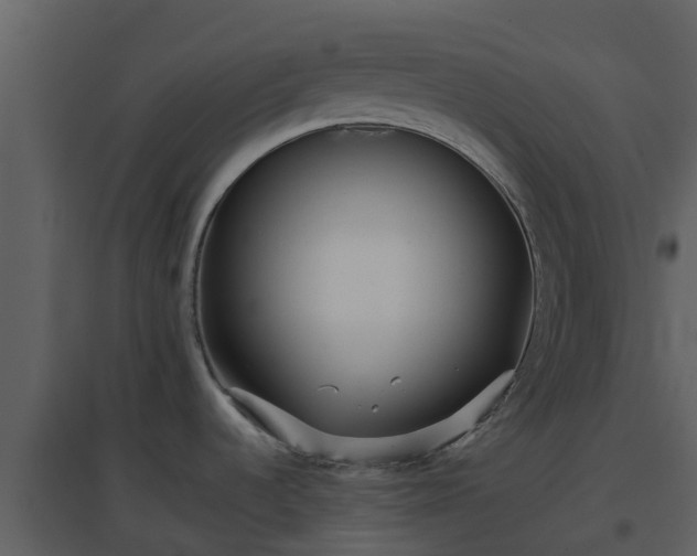 X0000096711536200802121214