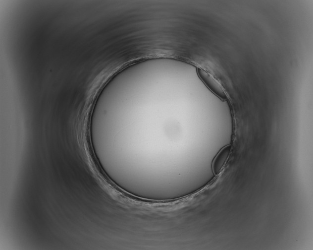 X0000096710001200802191517