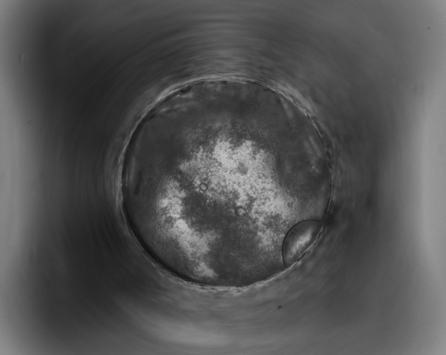 X0000096710002200802191517