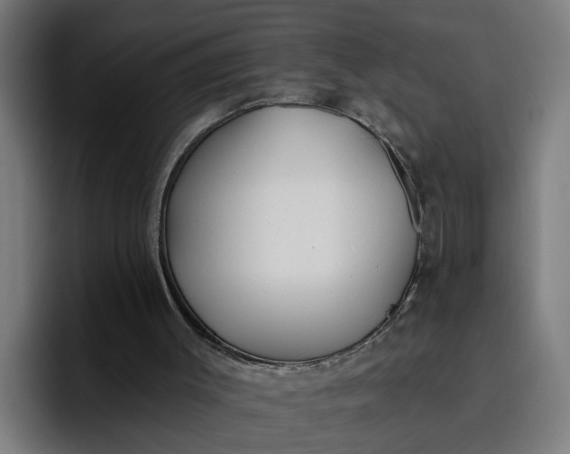 X0000096710003200802191517