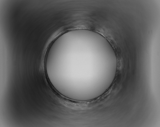 X0000096710004200802191517