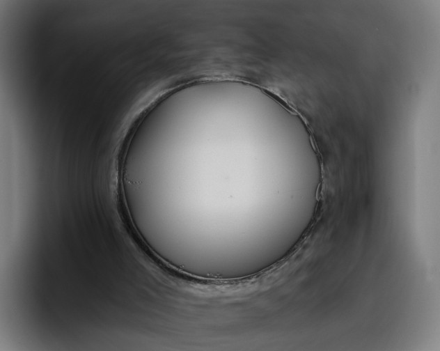 X0000096710005200802191517