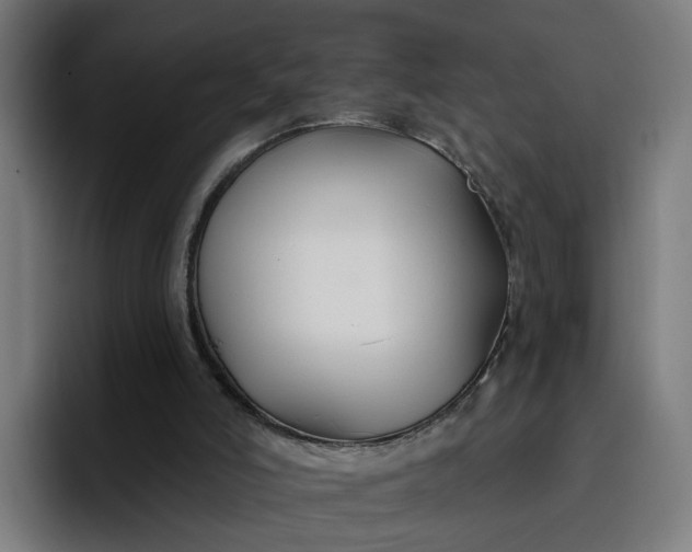 X0000096710006200802191517