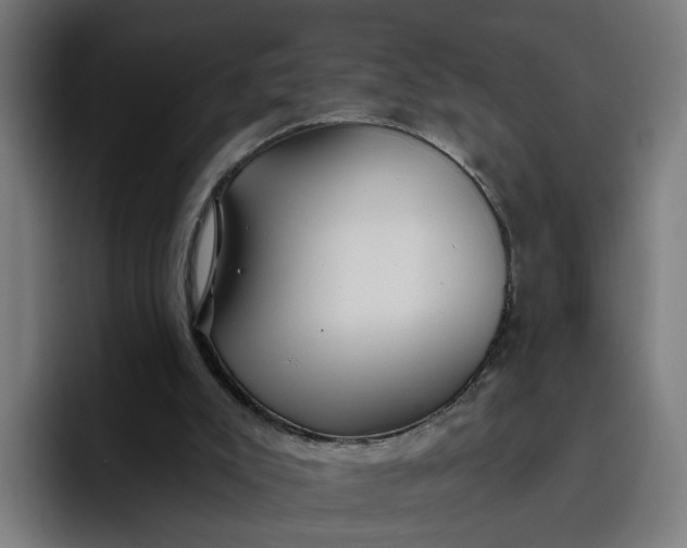 X0000096710007200802191517