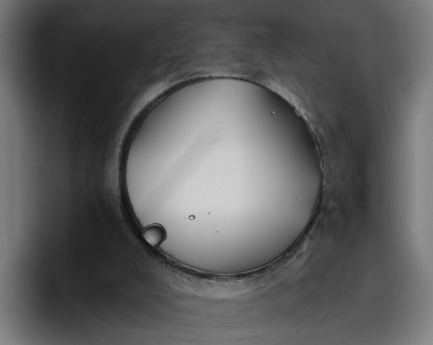 X0000096710008200802191517