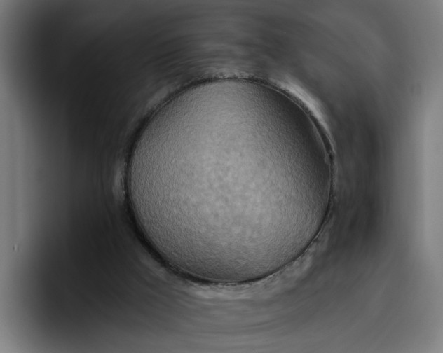 X0000096710009200802191517