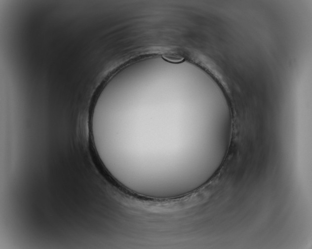 X0000096710011200802191517