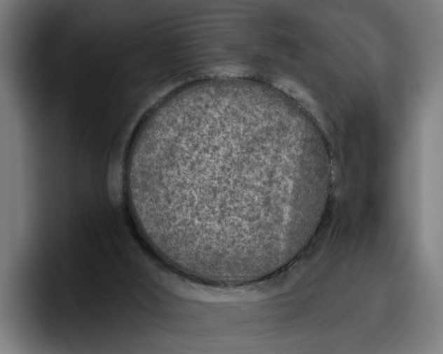 X0000096710012200802191517