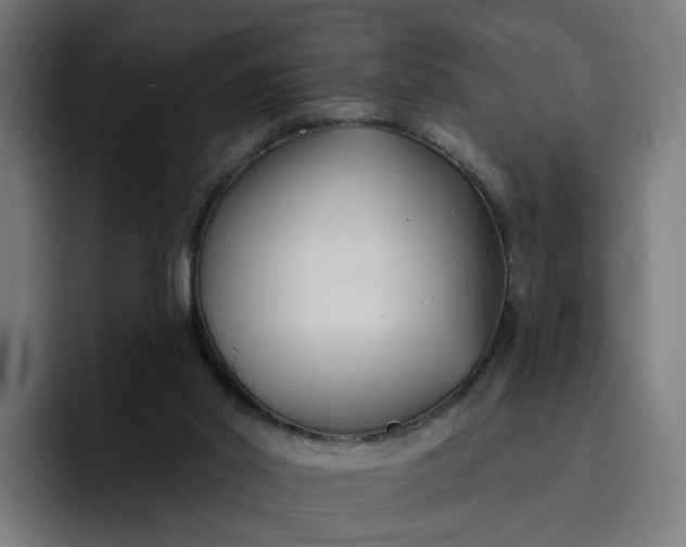 X0000096710014200802191517