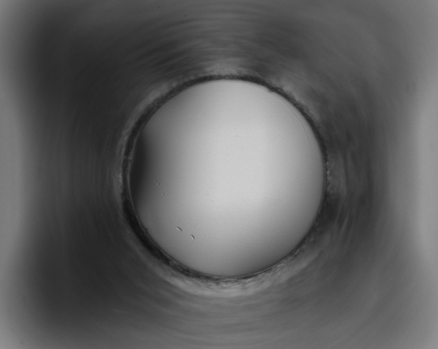 X0000096710015200802191517