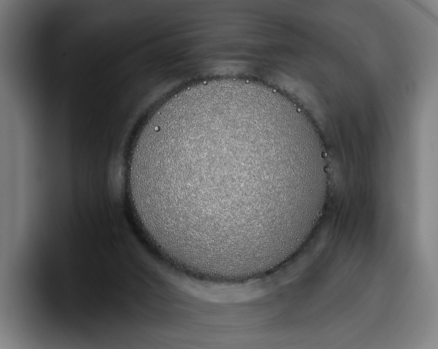 X0000096710016200802191517