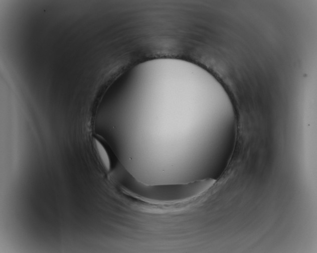 X0000096710017200802191517