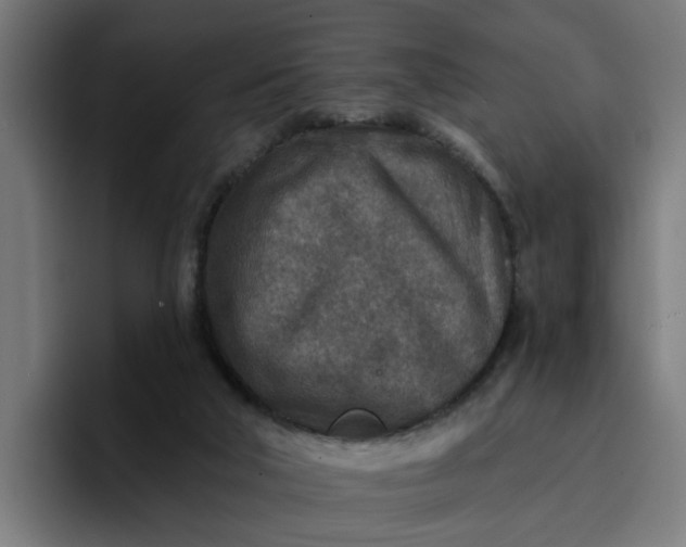 X0000096710018200802191517