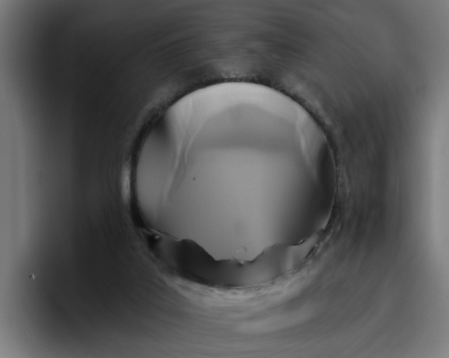 X0000096710019200802191517