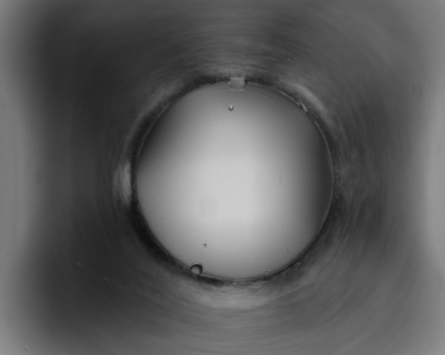 X0000096710020200802191517