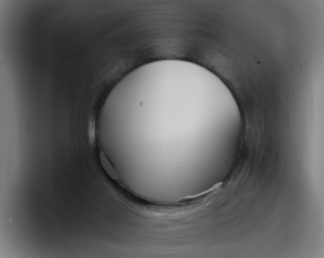 X0000096710021200802191517