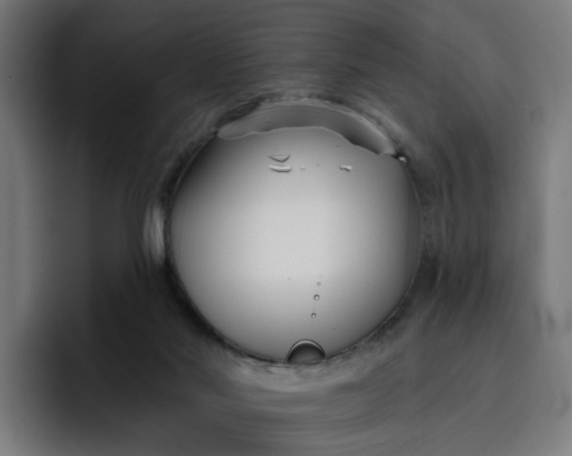 X0000096710022200802191517