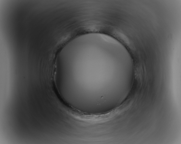 X0000096710023200802191517