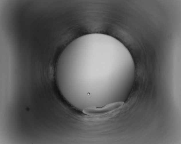 X0000096710025200802191517