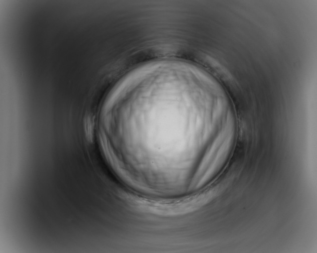 X0000096710026200802191517