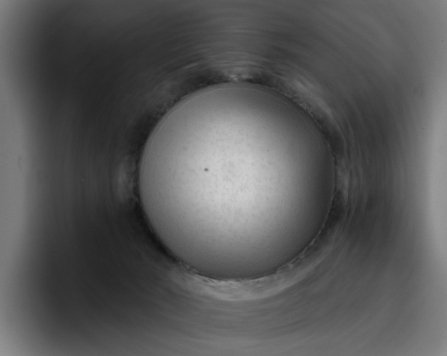 X0000096710030200802191517