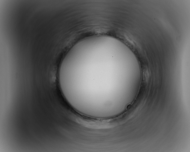 X0000096710032200802191517